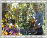 Tree-Hugger.mp4 video by gotreehugger