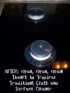 Tropical Traditions Glass and Surface Cleaner Review