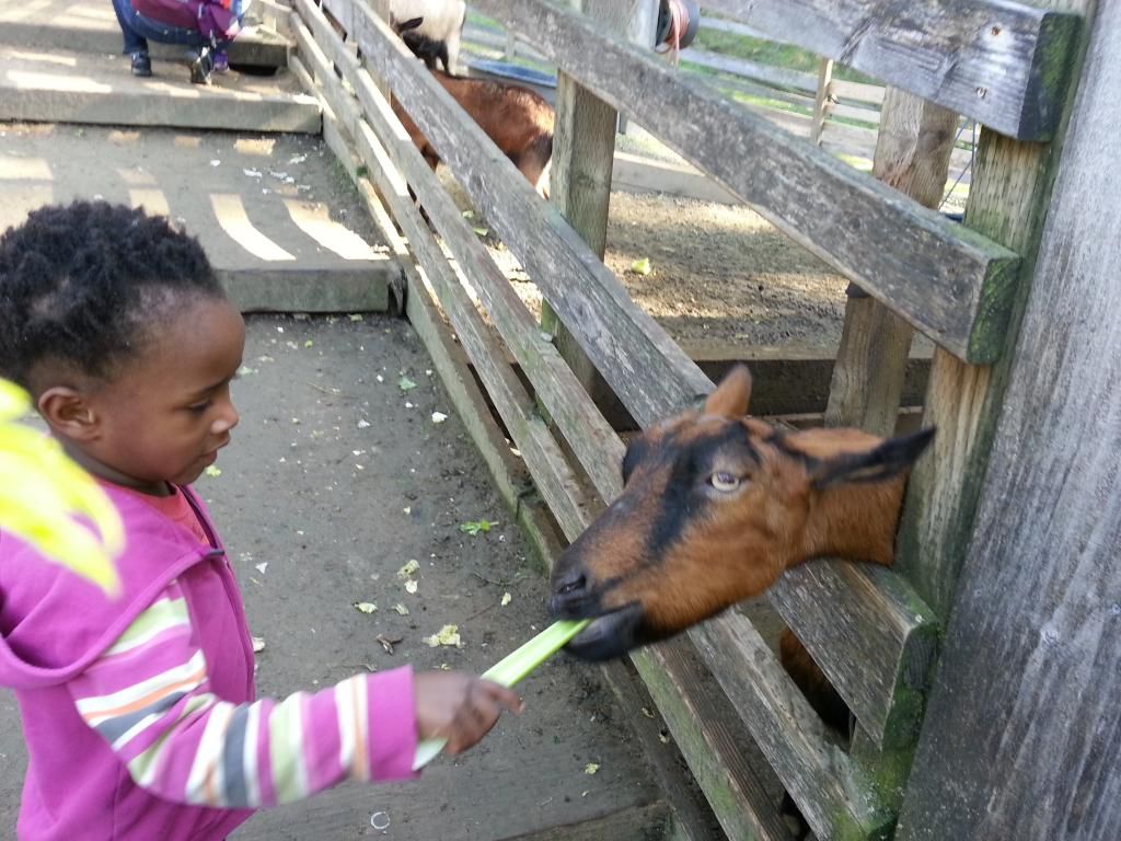 Marlie at Tilden Farm