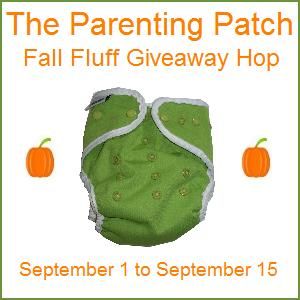 fall fluff giveaway button