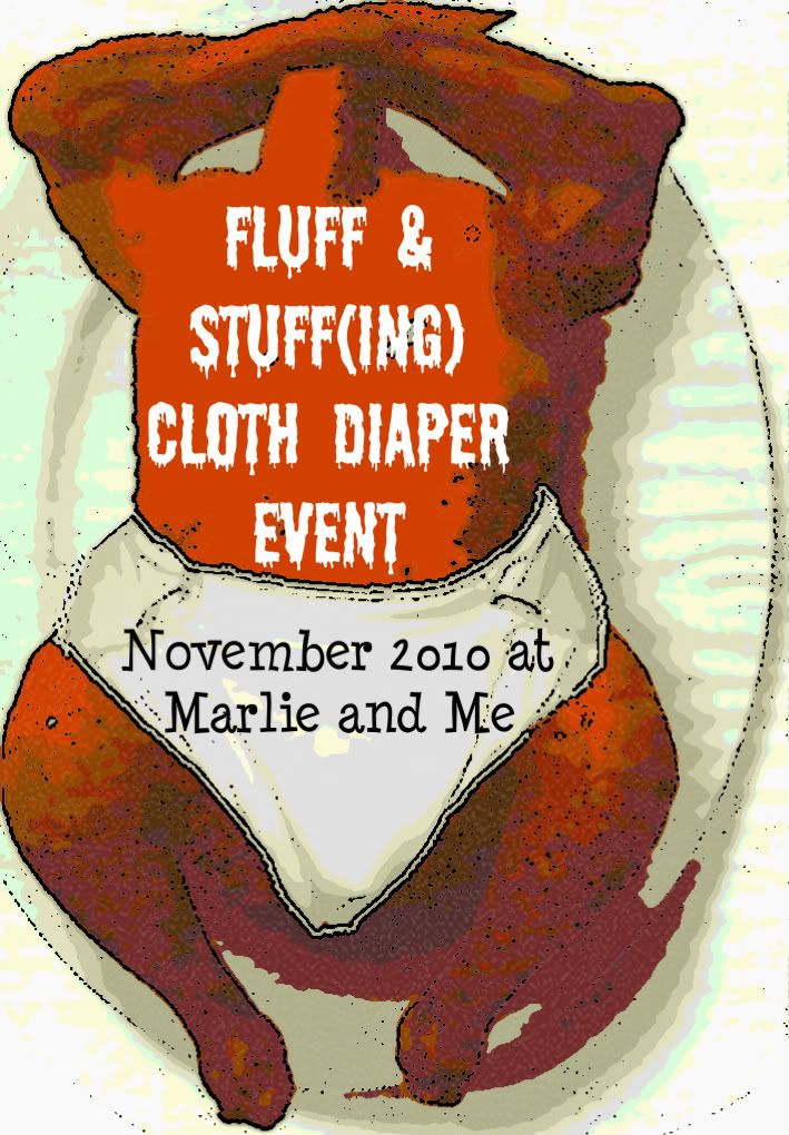fluff and stuff(ing) cloth diaper event