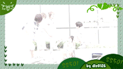 ss501 gif Pictures, Images and Photos