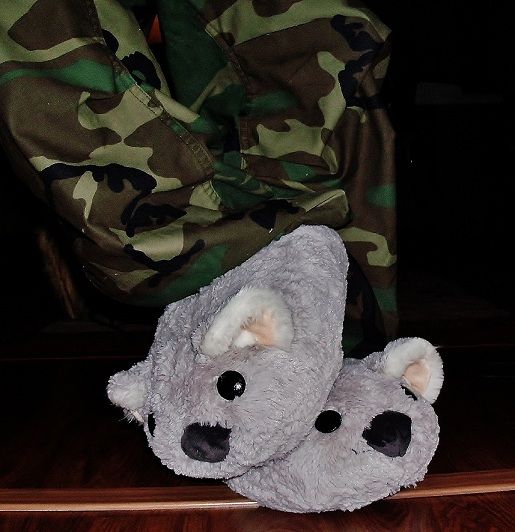 100_8237.jpg