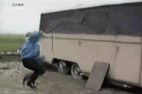 Chickens.gif RUN RUN image by bubbleboy52
