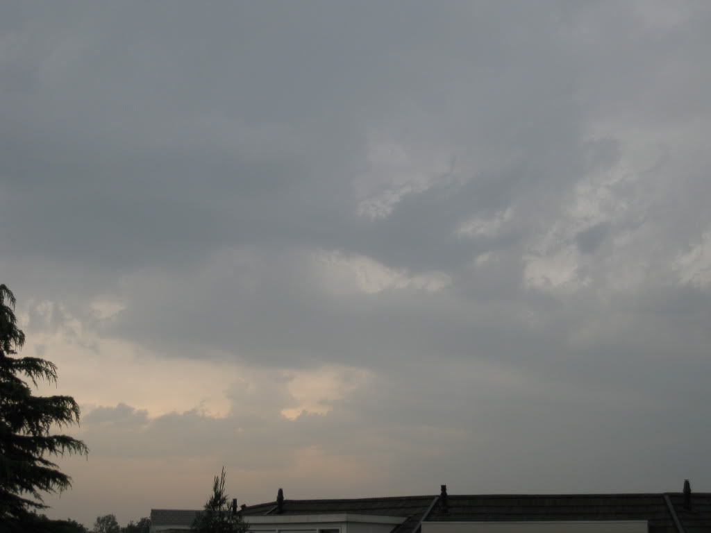 IMG_2142.jpg