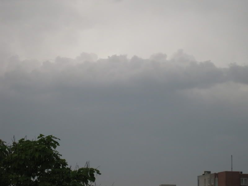 IMG_2146.jpg