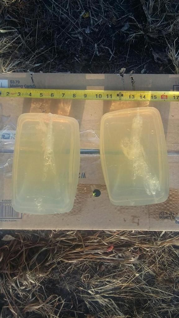 Subsonic Hollow Point vs Rond Nose Gellatin Testing Rimfire Central