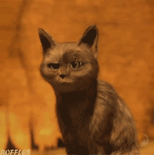 puss-in-boots-oooh-cat-gif-557.gif