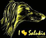 levrieri,Saluki,Saluki World,Saluqi,Saluki dog,sighthounds