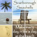 Scarborough Seashells