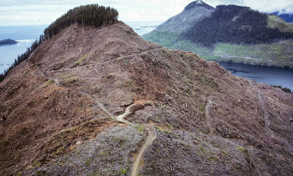 Hillside scalped by logging clear-cut on Vancouver Island, British Columbia, Canada.