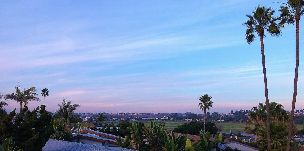 Carlsbad flower fields, legoland firework views country side, grass, sky, flower fields