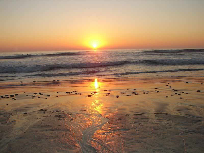 Carlsbad CA has Miles of Sandy Sun Drenched Beaches